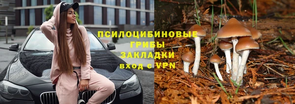 кокаин колумбия Алзамай
